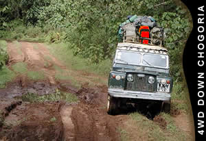 4WD from Chogoria gate to Chogoria town